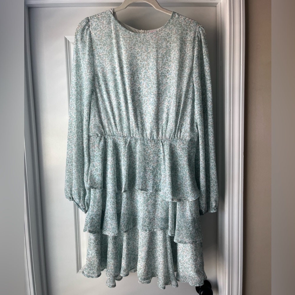 Pink Lily White and Blue Floral Dress
